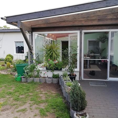 Ferienwohnung Zur Alten Schule 프리츠워크 외부 사진